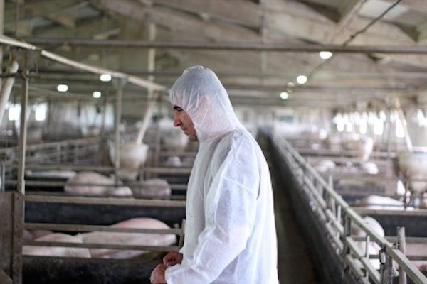 Factory Farming