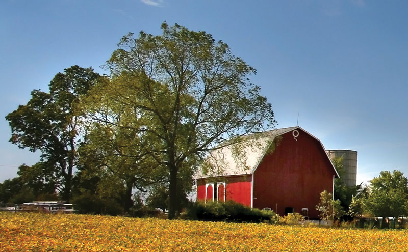 McLean Meats - Organic Deli Meat